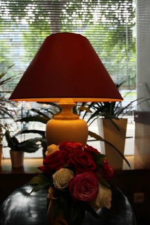 Imagen de los interiores del Hotel Alane. Foto 15