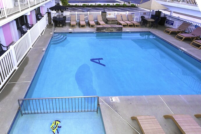 Imagen general del Hotel Alante Oceanfront Motor. Foto 10