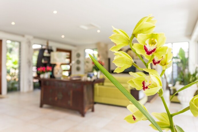 Imagen de los interiores del Hotel Alaya Verde. Foto 34