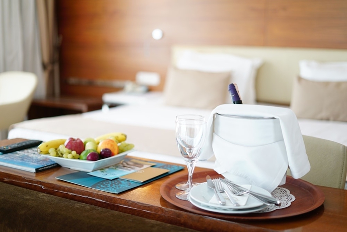 Imagen de la habitación del Hotel Alba Ankara. Foto 15