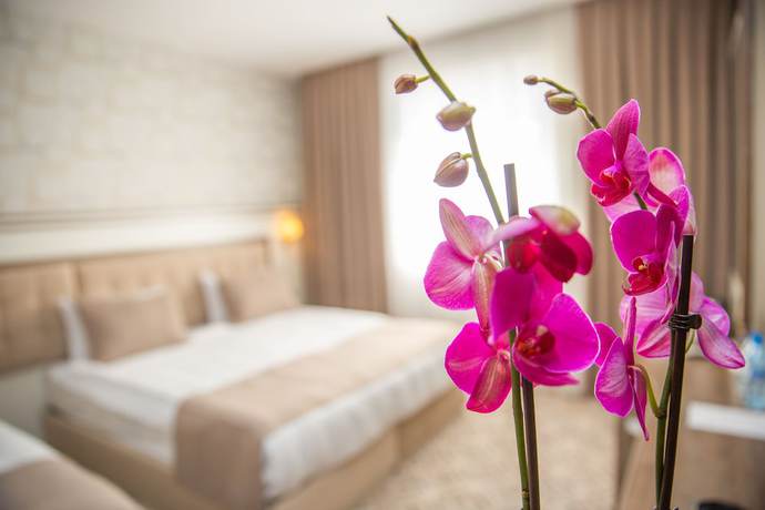 Imagen de la habitación del Hotel Alba Hotel And Spa. Foto 13