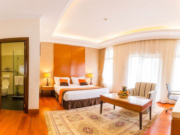 Imagen de la habitación del Hotel Alba Meru. Foto 19