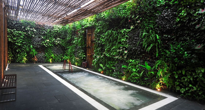 Imagen de la piscina del Hotel Alba Spa. Foto 16