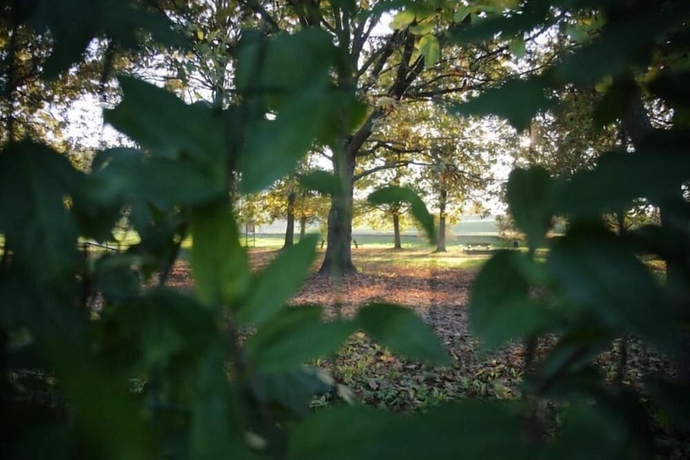 Imagen general del Hotel Alba Village. Foto 6