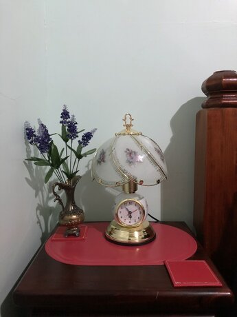 Imagen general del Hotel Albany Foreshore Guest House. Foto 9