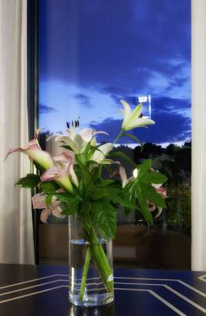 Imagen de la habitación del Hotel Albarella Golf. Foto 16