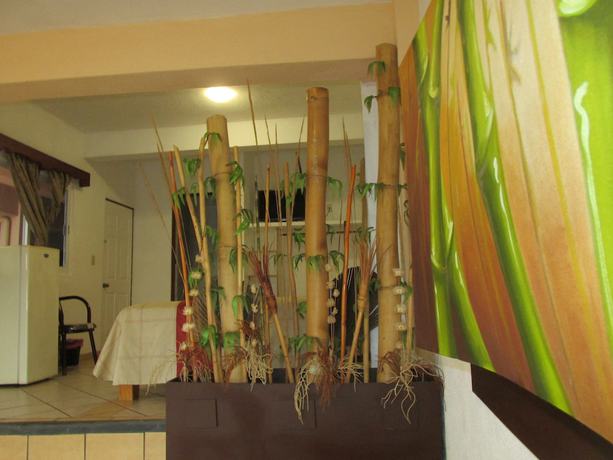 Imagen de la habitación del Hotel Albatros, Manzanillo. Foto 10