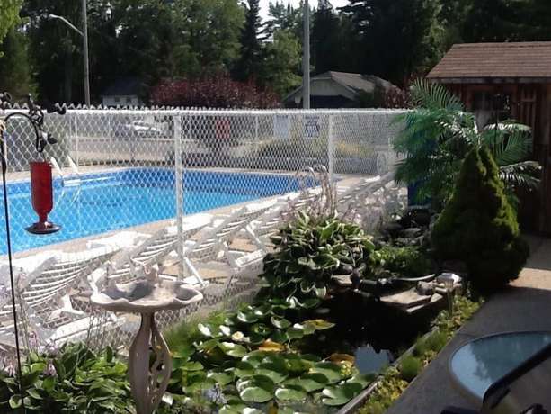 Imagen de la piscina del Hotel Albatross Motel. Foto 10