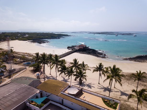 Imagen de la habitación del Hotel Albemarle. Foto 8