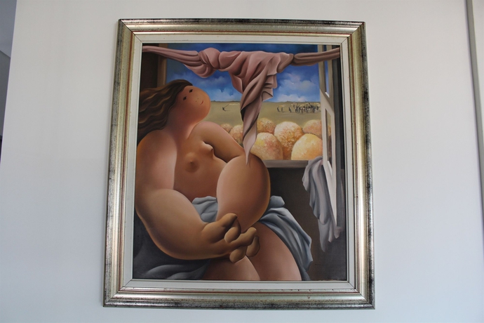 Imagen de los interiores del Hotel Albergaria Quim Barreiros. Foto 10