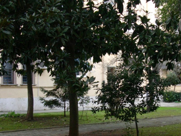 Imagen general del Hotel Albergo Bellavista, Latina. Foto 3