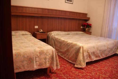 Imagen de la habitación del Hotel Albergo Belvedere, Transacqua. Foto 8