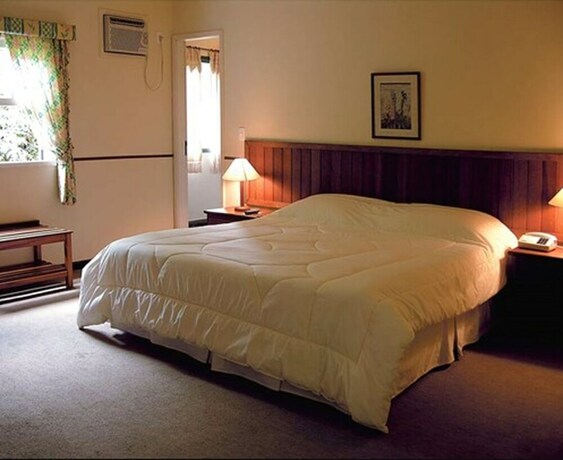 Imagen de la habitación del Hotel Albergo Del Leone. Foto 3