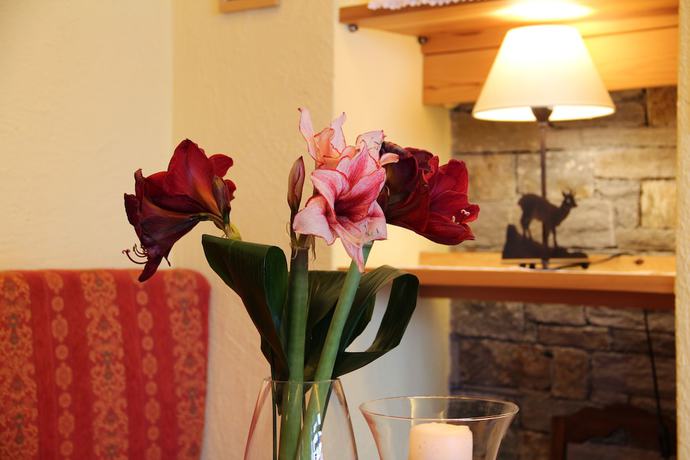 Imagen de los interiores del Hotel Albergo Edelweiss. Foto 19