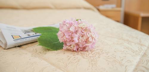 Imagen de la habitación del Hotel Albergo Etico Asti. Foto 13