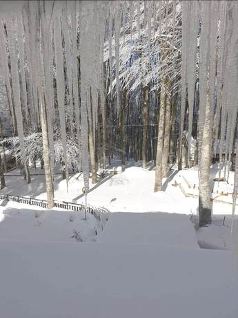 Imagen de los exteriores del Hotel Albergo Generale Cantore. Foto 16