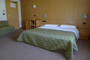 Imagen de la habitación del Hotel Albergo Irma. Foto 3
