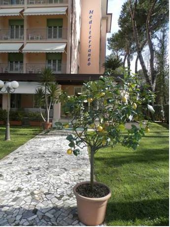 Imagen general del Hotel Albergo Mediterraneo, Marina Di Pietrasanta. Foto 14