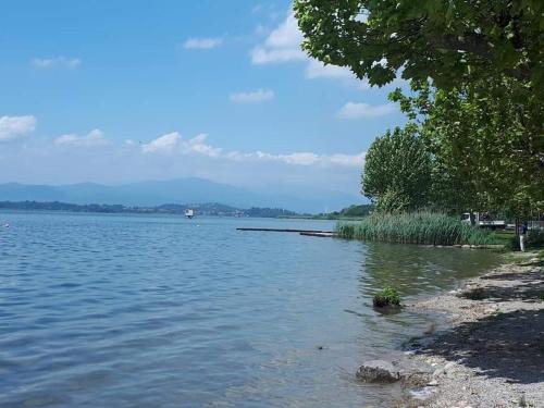 Imagen general del Hotel Albergo Rist Mariuccia. Foto 2