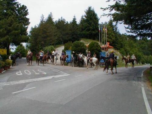 Imagen general del Hotel Albergo Ristorante Portole. Foto 11