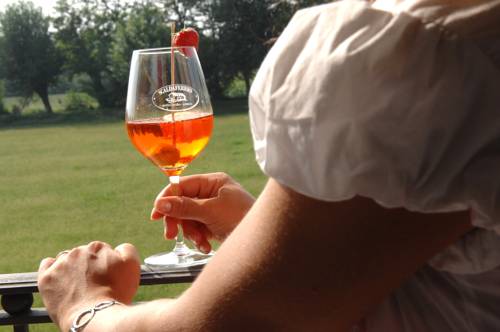 Imagen de la habitación del Hotel Albergo Scaldaferro. Foto 8