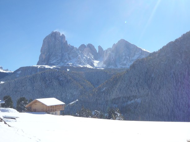 Imagen general del Hotel Albergo Somont. Foto 3