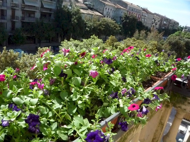 Imagen de los exteriores del Hotel Albergo Trento. Foto 9