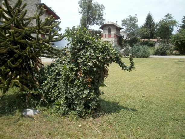Imagen de los exteriores del Hotel Albergo Villa and Roma. Foto 11