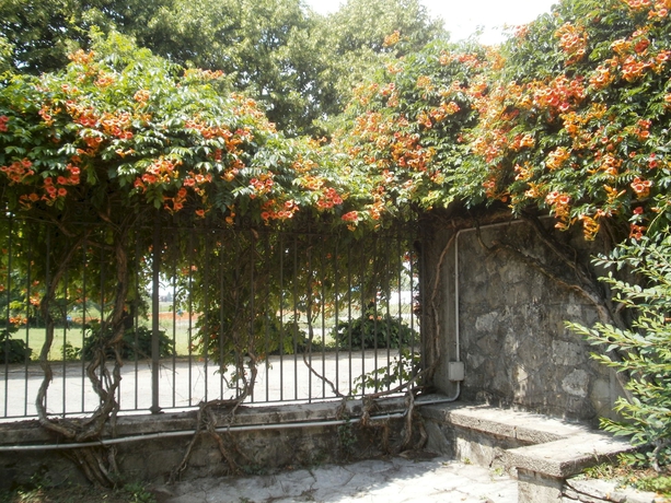 Imagen de los exteriores del Hotel Albergo Villa and Roma. Foto 14
