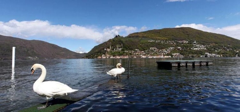 Imagen de los exteriores del Hotel Albergo Zappa. Foto 10