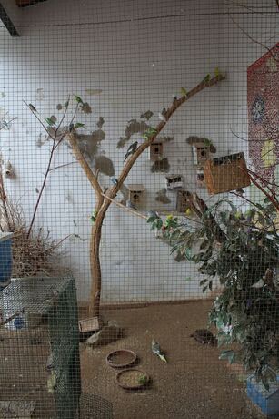 Imagen general del Hotel Albergue Camino de Santiago - Hostel. Foto 8