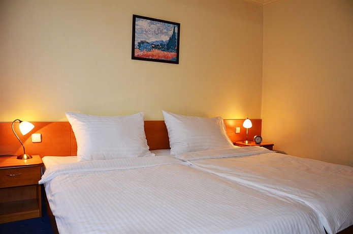 Imagen de la habitación del Hotel Albion Prague Congress. Foto 7