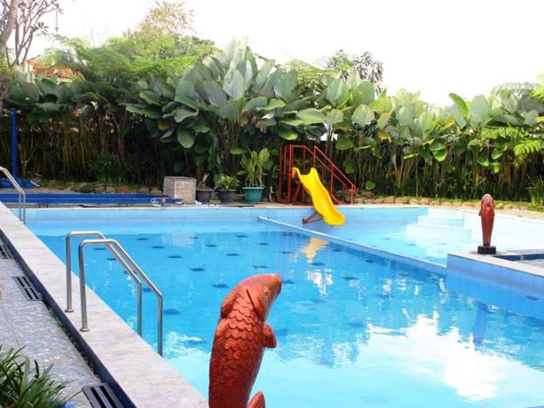Imagen de la piscina del Hotel Albis. Foto 8