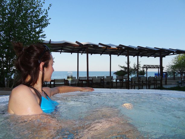 Imagen de la piscina del Hotel Albizia. Foto 16
