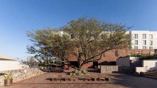 Imagen general del Hotel Albor San Miguel de Allende, Tapestry Collection by Hilton. Foto 9