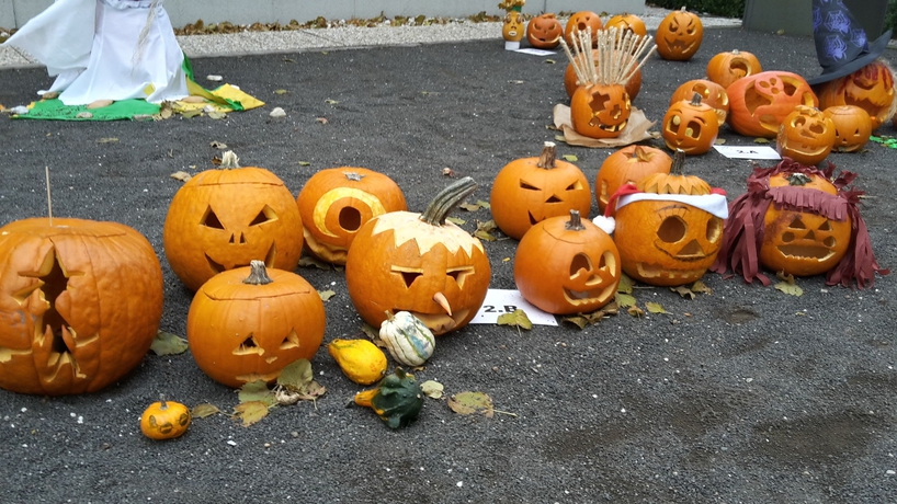 Imagen de los exteriores del Hotel Albrecht. Foto 11