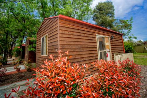 Imagen de la habitación del Hotel Albury Gardens Tourist Park. Foto 4