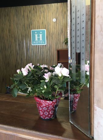 Imagen de los interiores del Hotel Alc&aacute;zar, PIRIAPOLIS. Foto 19