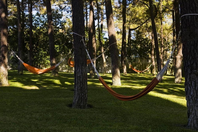 Imagen de los exteriores del Hotel Alcazar Hotel and SPA. Foto 4