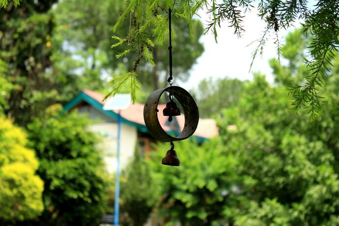 Imagen general del Hotel Alcor Spa Resort Kasauli. Foto 6