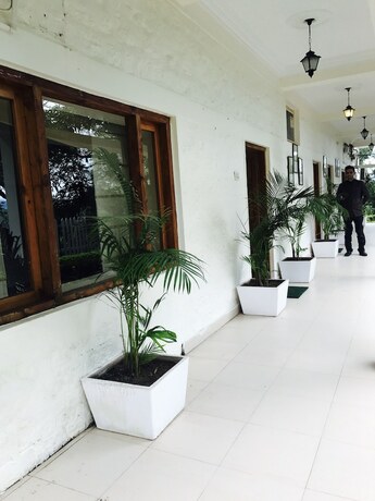 Imagen general del Hotel Alcor Spa Resort Kasauli. Foto 14