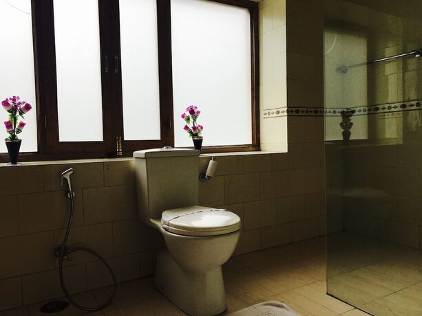 Imagen general del Hotel Alcor Spa Resort Kasauli. Foto 16