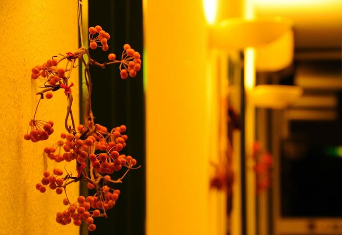 Imagen general del Hotel Alcyon, Ito. Foto 10
