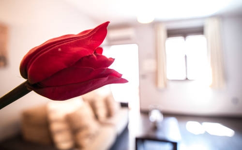 Imagen general del Hotel Alda Apartamentos Muralla de Toledo. Foto 3