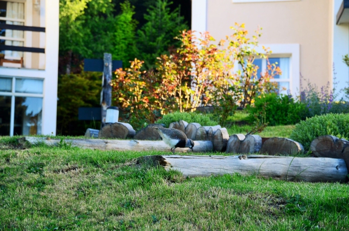 Imagen general del Hotel Aldea Andina andspa. Foto 2