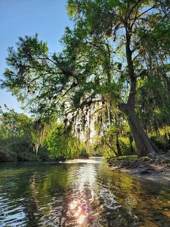Imagen general del Hotel Aldea Huasteca. Foto 9