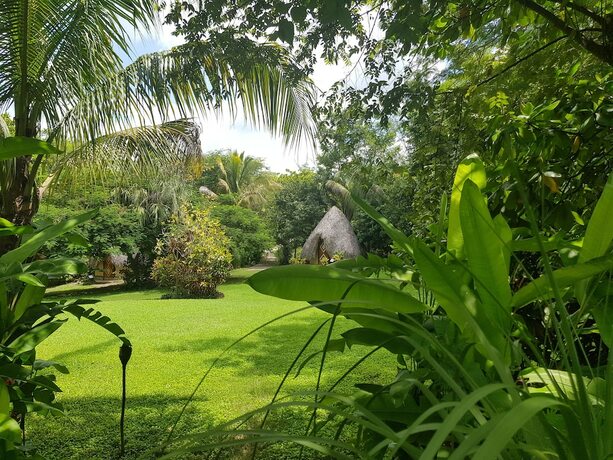 Imagen general del Hotel Aldea Huasteca. Foto 14