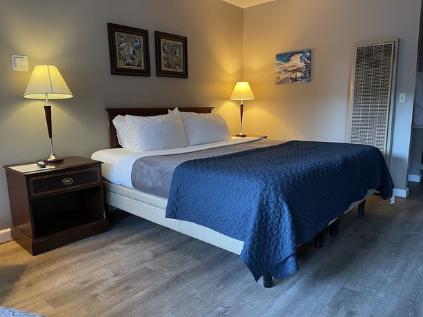 Imagen de la habitación del Hotel Alder Inn. Foto 10