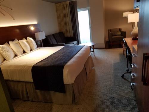 Imagen de la habitación del Hotel Alder Uptown New Orleans. Foto 3