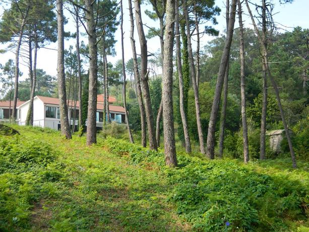 Imagen general del Hotel Al&eacute;n Do Mar. Foto 10